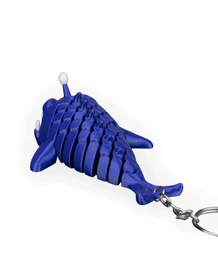Angelfish | Flexi
