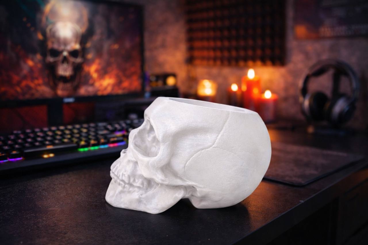 Skull | Pen Holder