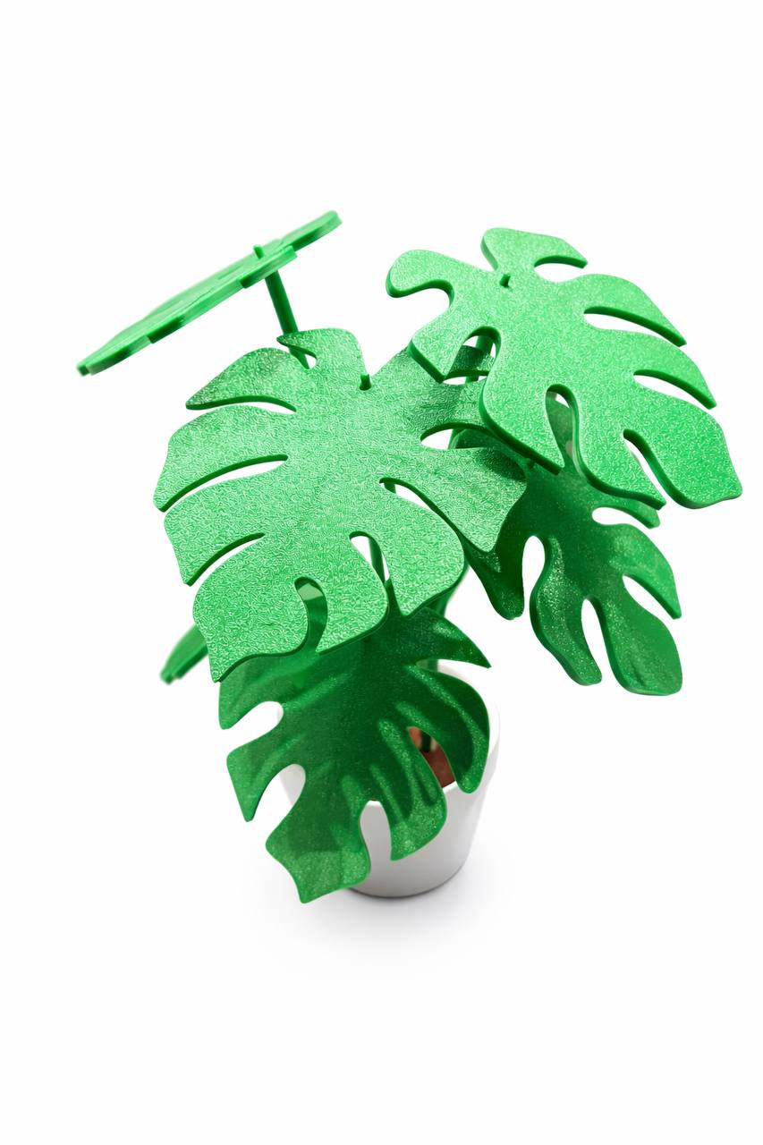 Σουβέρ Monstera