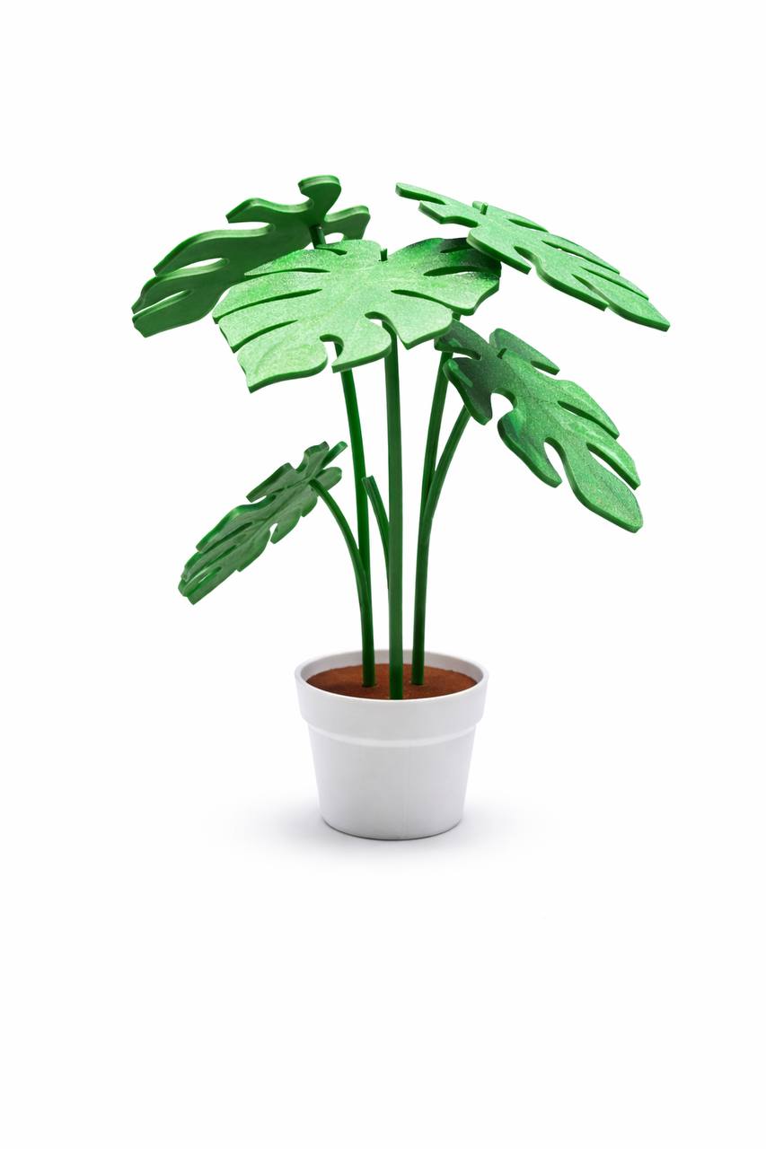 Σουβέρ Monstera