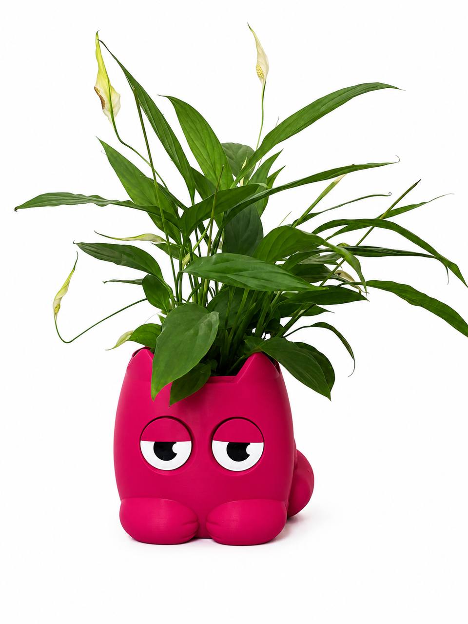 Kitty | Planter