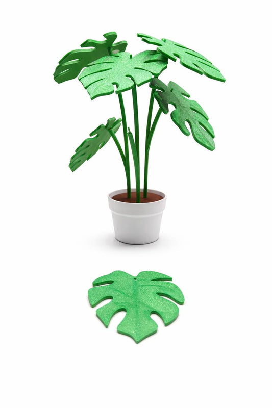 souver monstera